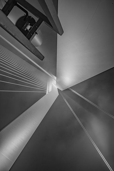 Erasmusbrug in het spotlicht van Patrick Hartog