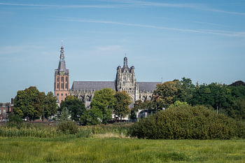 Sint Jan Kathedraal in Den Bosch, vanaf een afstand