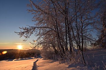 A sunrise on a cold morning by Claude Laprise