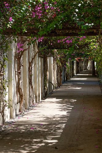 Lane on Gili Trawangan, Indonesia