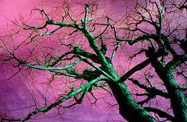 Grüner Baum von Roswitha Lorz