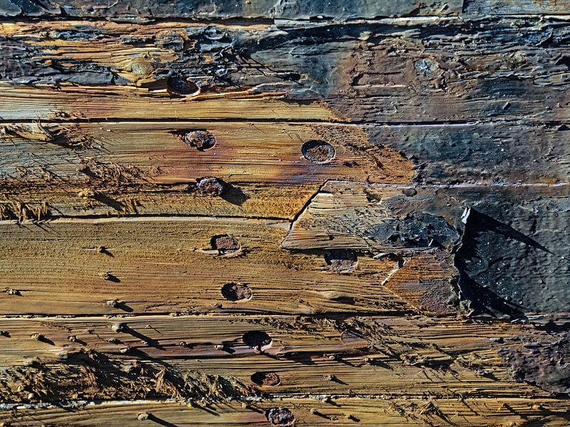 Rotten wood by Katrin May