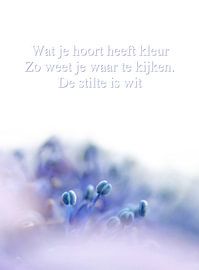 What you hear has colour by Marlies Prieckaerts