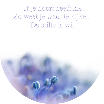 Wat je hoort heeft kleur