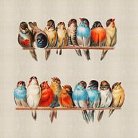 Een Vogelbok, Hector Giacomelli (vierkant)