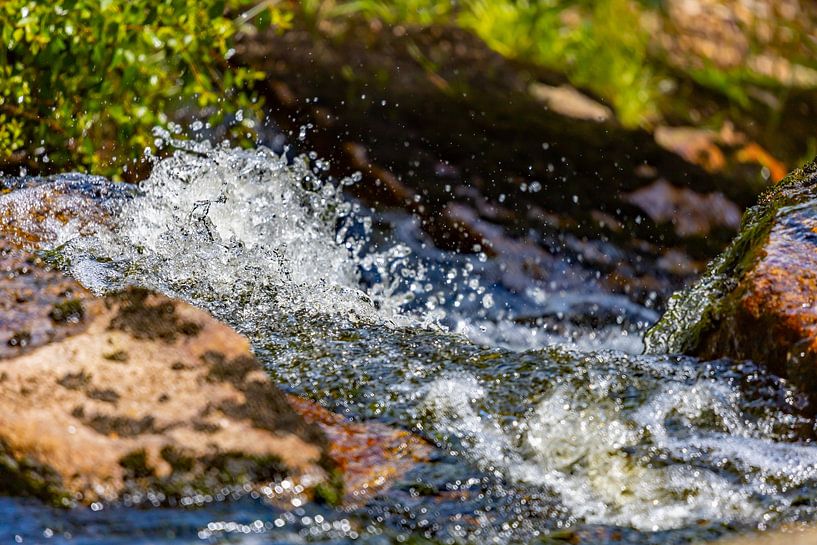 Wilde Wasser von Holger Felix
