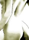 Female Nude | Beautiful Back by Dirk H. Wendt thumbnail