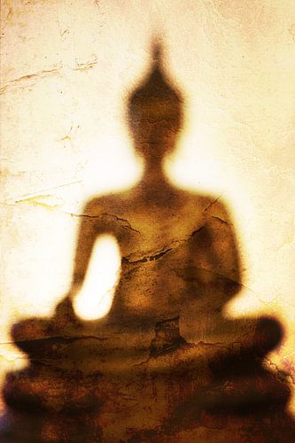 L'ombre de Bouddha