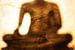 De schaduw van Boeddha van Thomas Herzog