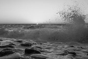 de zeeuwse kust in zwart en wit van anne droogsma