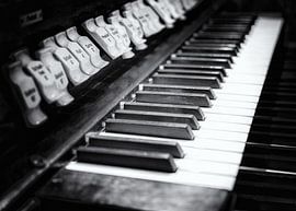 Organ by Annemiek van Eeden