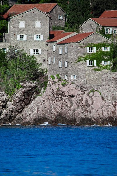 ideal house covered with ivy rises above the blue water. small houses with a tiled roof and green tr by Michael Semenov