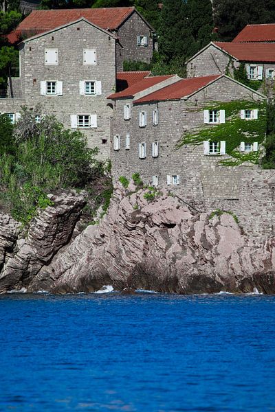 ideales, mit Efeu bedecktes Haus erhebt sich über dem blauen Wasser. kleine Häuser mit Ziegeldach un von Michael Semenov