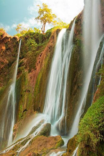 Waterfall of Ouzoud, Morocco