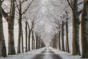 Winterwanderung