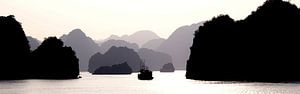 Lagen - Ha Long Bay von Nico van der Vorm