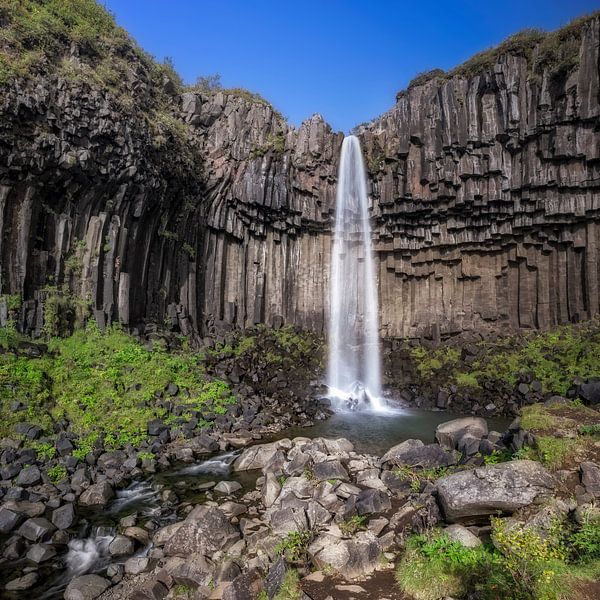 Wasserfall Svartifoss in Island von Dieter Meyrl