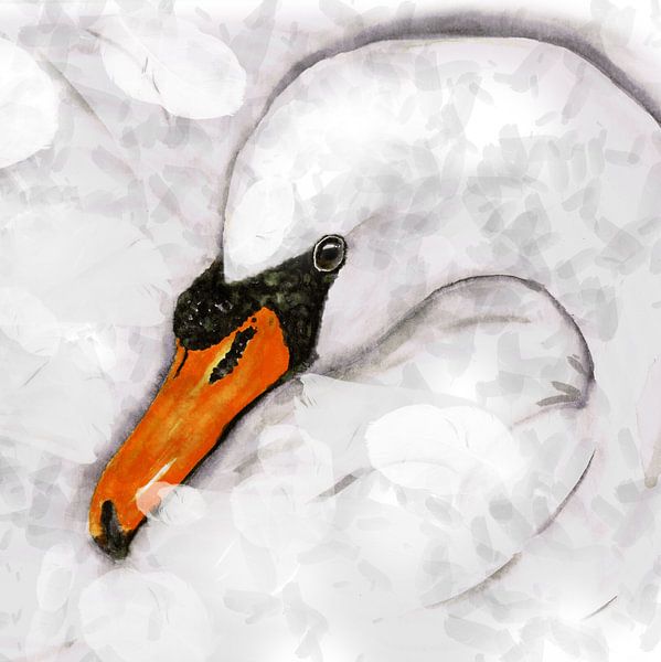 Mute swan by Bianca Wisseloo