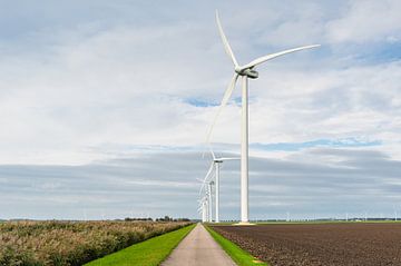 Windpark in Flevoland
