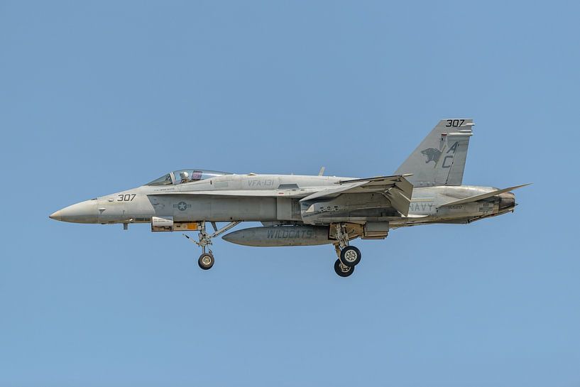 Boeing F/A-18C Hornet de la VFA-131 Wildcats. par Jaap van den Berg