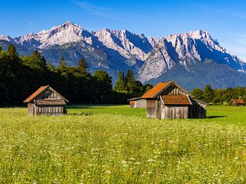 Blick über die Felder auf das Wettersteingebirge, Garmisch-Partenkirchen