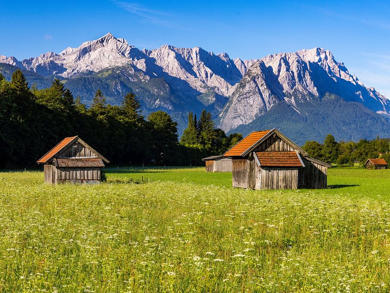 Blick über die Felder auf das Wettersteingebirge - uitzicht over de velden naar het&quot; Wettersteingebirge&quot; - uitzicht over de landelijke velden naar het Wettersteingebirge, Garmisch-Partenkirchen van Christina Bauer Photos