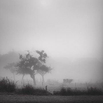 Silhouettes 1 by Arjan Keers