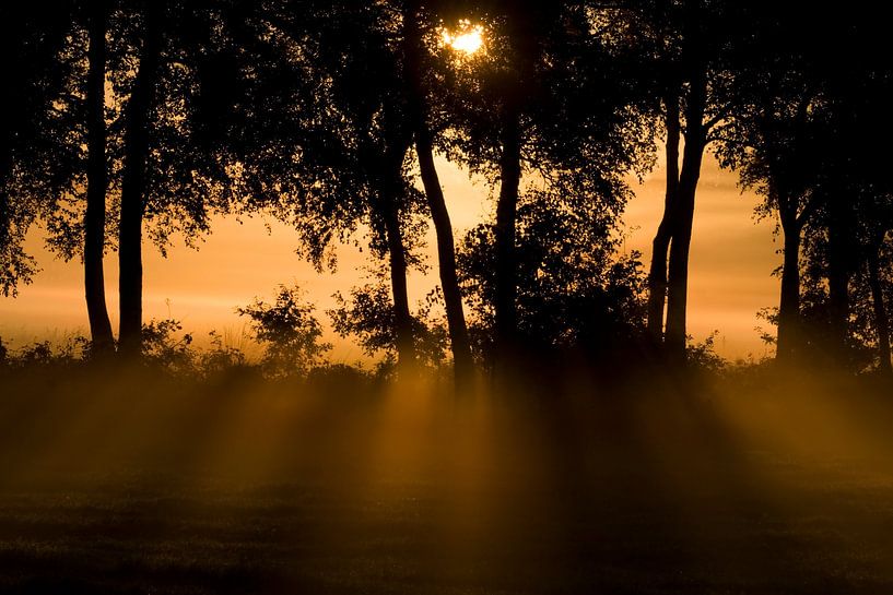 Sonnenaufgang von Ronald Wilfred Jansen