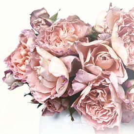 Roses de mariage sur Claudia Moeckel