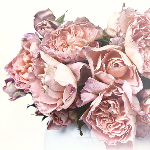 Wedding Roses by Claudia Moeckel