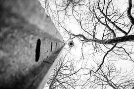 Lichtmast zwischen Zweigen in Schwarz und Weiß von Peggy Raemdonck