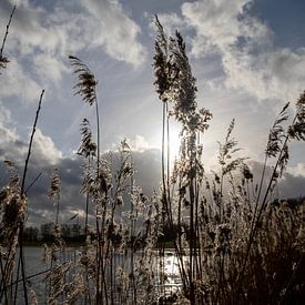 Landschap van Bianca Bot