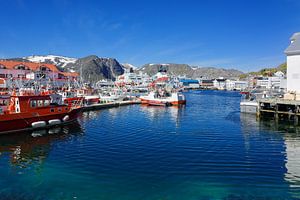 Der bunte Hafen von Honningsvag II