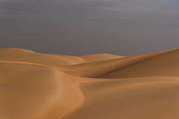 Dunes dans le désert du Sahara | Mauritanie