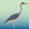 Blauwe reiger van A.C. van Zwol
