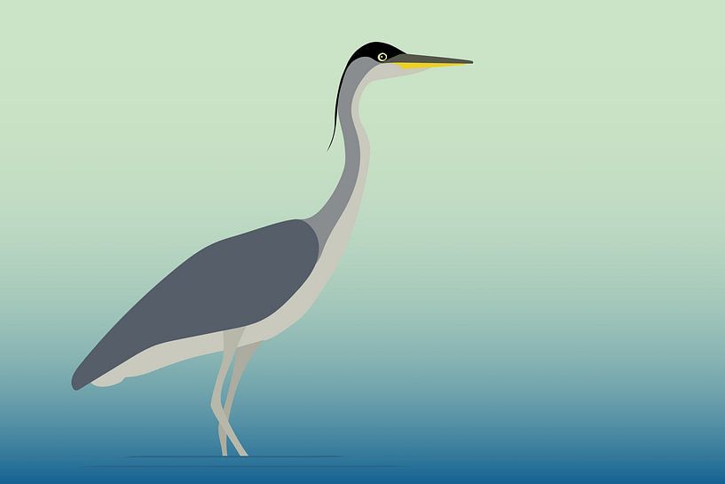 Blauwe reiger van A.C. van Zwol