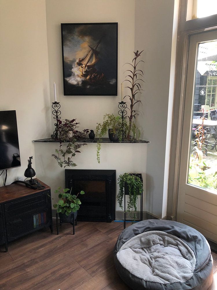 Christus im Sturm auf dem See von Galiläa, Rembrandt vom Rhein 