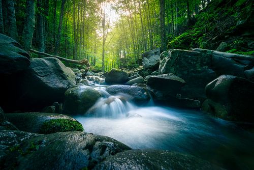 Boswaterval in de Abetone bergen, Toscaanse Apennijnen Foto