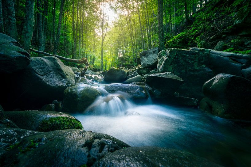 Wald-Wasserfall in den Abetone-Bergen, Toskanischer Apennin Foto von Stefano Orazzini