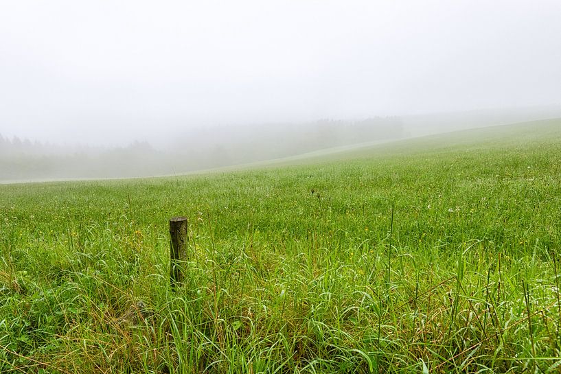 Wooden post in foggy grass landscape by Johan Vanbockryck