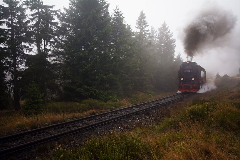 Brockenbahn van Alena Holtz