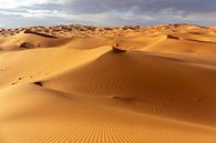 Woestijn en blauwe hemel - landschap, Afrika van Tjeerd Kruse thumbnail