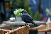 Warten auf den Kaffee