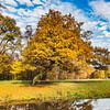 Herbst im Park von Gunter Kirsch