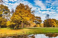Herfst in het park van Gunter Kirsch thumbnail
