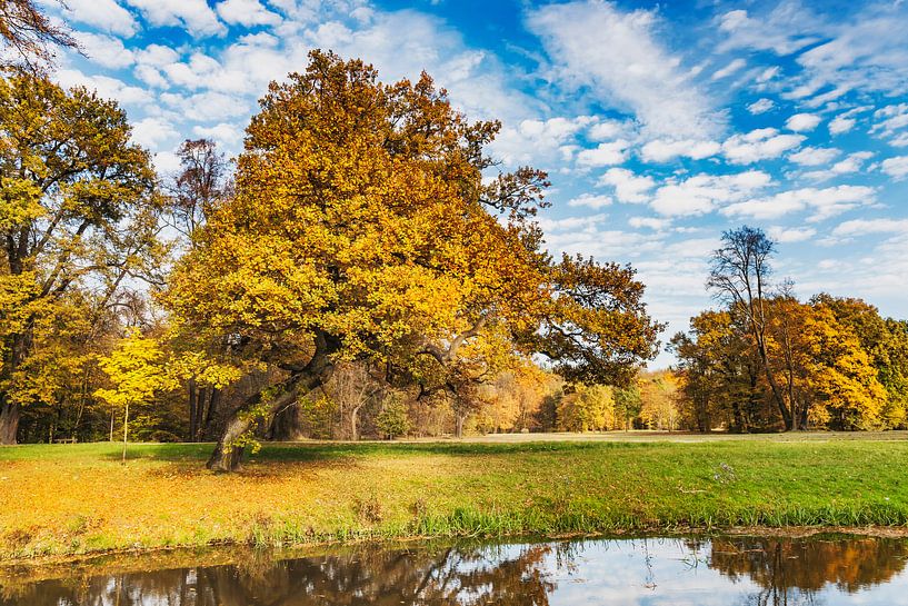 Herfst in het park van Gunter Kirsch