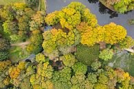 Een doolhof in een kasteeltuin in de herfst van Jeroen Kleiberg thumbnail
