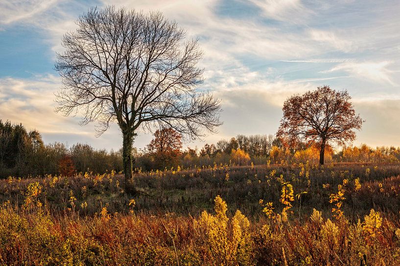L'automne à Nijswiller par Rob Boon