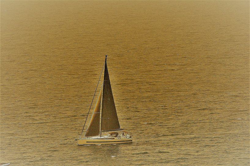 Maron by Fons Hayes