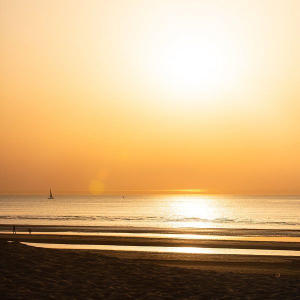 Sailing at sunset by Zilt Shot Photography